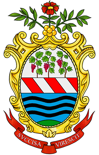 immagine Servizi online<br>Comune di Trevignano